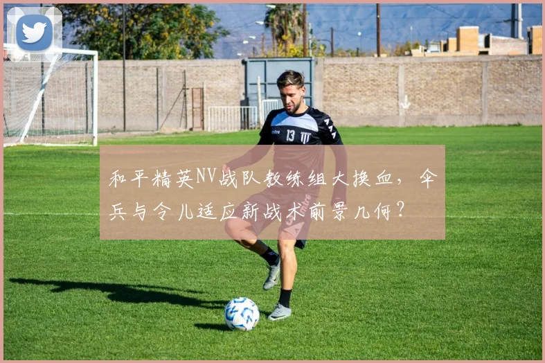 和平精英NV战队教练组大换血，伞兵与令儿适应新战术前景几何？